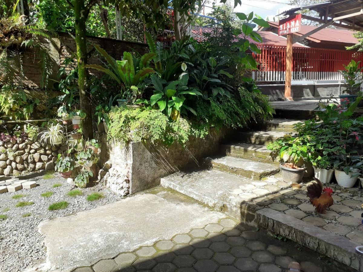 Riana'S Homestay رانتيباو المظهر الخارجي الصورة